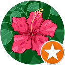 Christelle profile picture